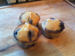 Coconut flour blueberry muffins