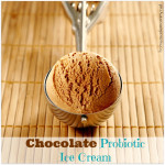 Chocolate Probiotic Ice Cream