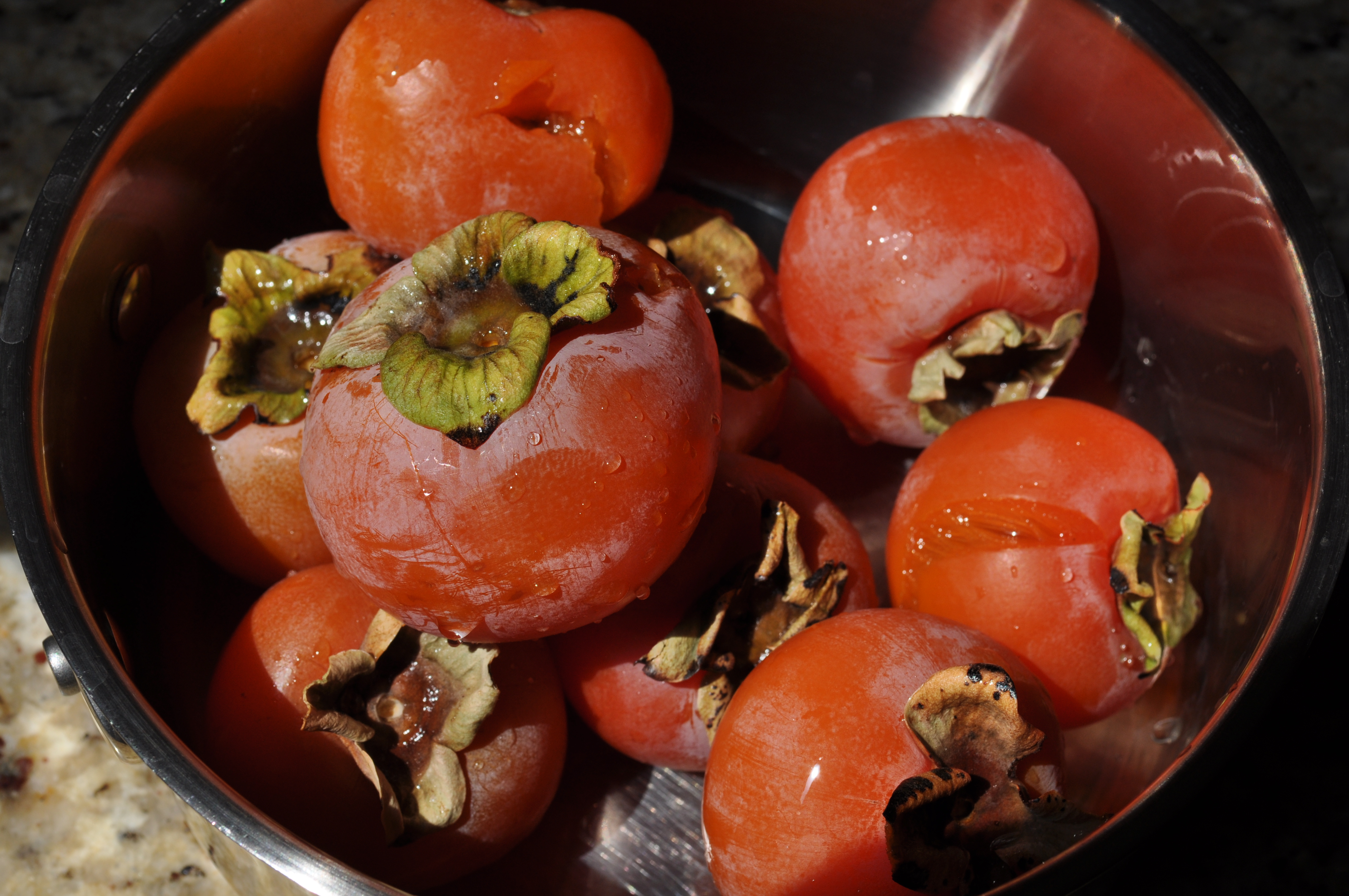 Persimmon Ice Cream (Probiotic)