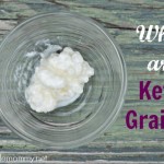 Kefir Grains