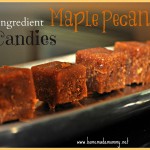 Maple Pecan Candies by Homemade Mommy