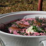 Beet Borscht by Homemade Mommy