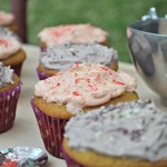 Grain-free Birthday Cupcakes via Homemade Mommy