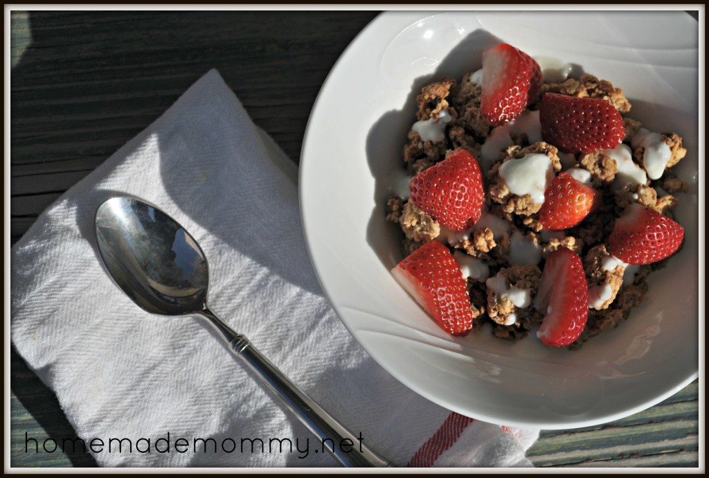 Homemade Healthy Honey Nut Granola via Homemade Mommy