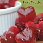 Kombucha Fruit Snacks by Homemade Mommy