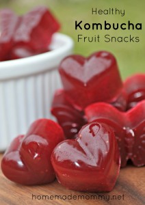 Healthy Kombucha Fruit Snacks via Homemade Mommy