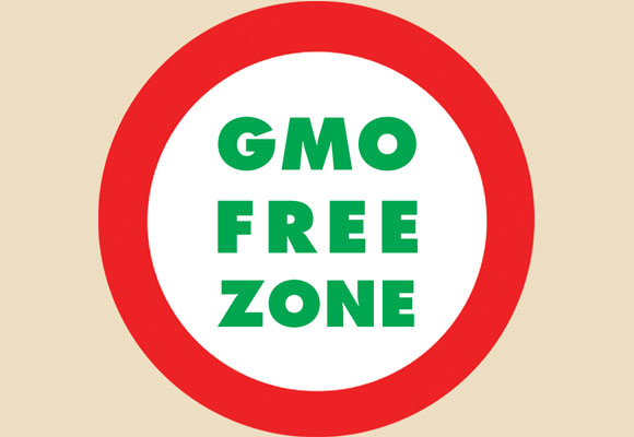 GMO label: Made in the USA?