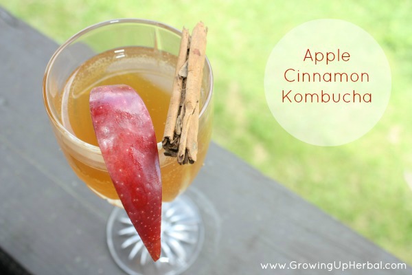 Apple Cinnamon Kombucha