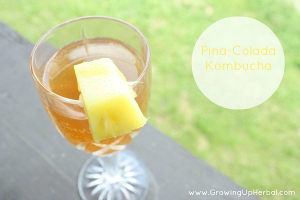 Pina-Colada Kombucha