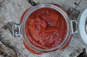 Fermented Ketchup