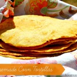 Homemade Corn Tortillas