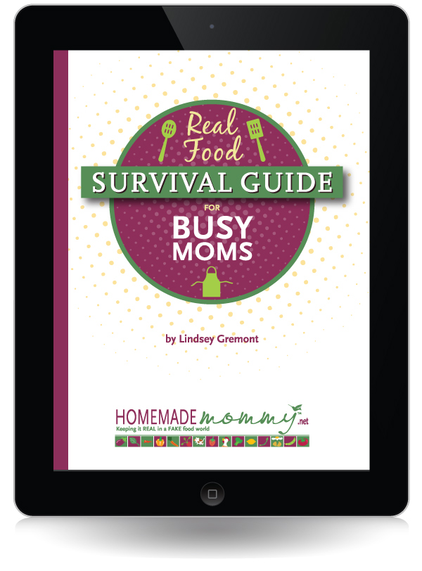 The Real Food Survival Guide for Busy Moms eBook is Here!