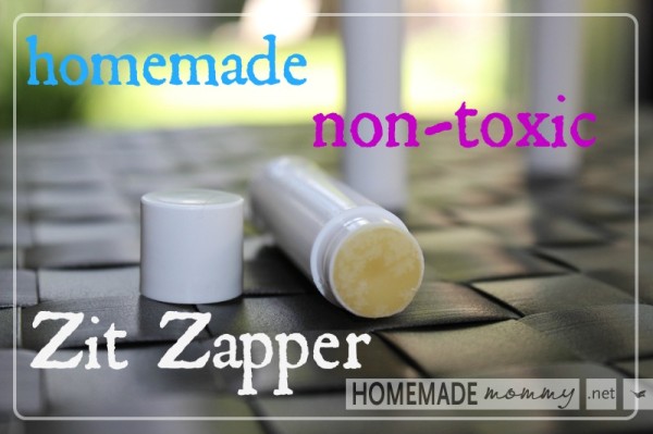 Homemade Non-toxic Zip Zapper