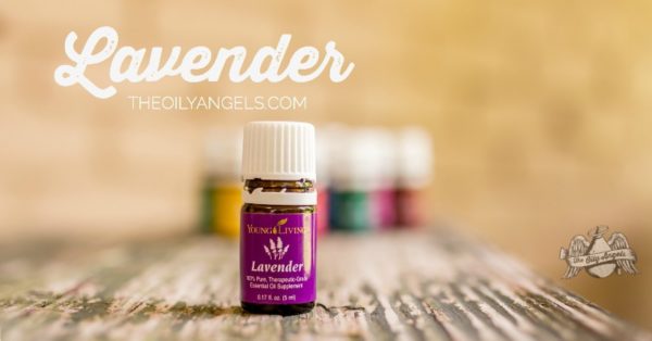 Lavender Essential Oil www.theoilyangels.com