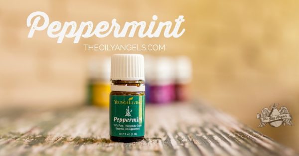 Peppermint Essential Oil www.theoilyangels.com