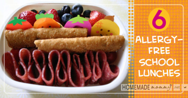 6 Allergy-Free School Lunches | www.homemademommy.net