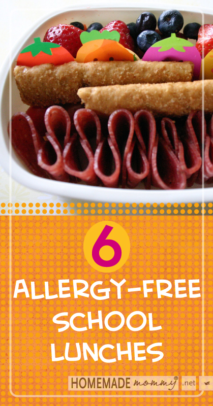 6 Allergy-Free School Lunches | www.homemademommy.net