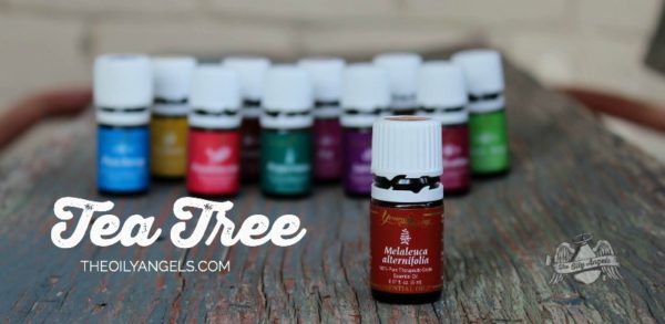 Tea Tree Essential Oil | www.homemademommy.net