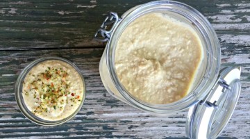 Fermented Hummus