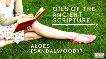 Essential Oils of the Ancient Scripture: Aloes (Sandalwood)